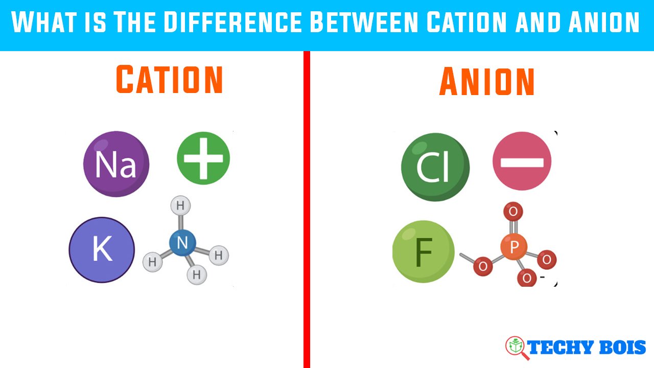What is The Difference Between Cation and Anion