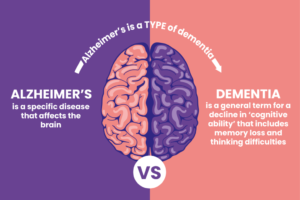 Difference between dementia and alzheimers disease