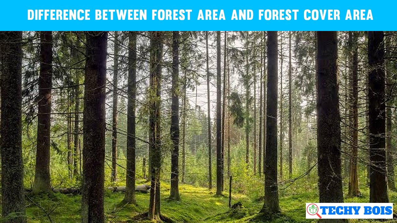Difference between Forest area and Forest cover area