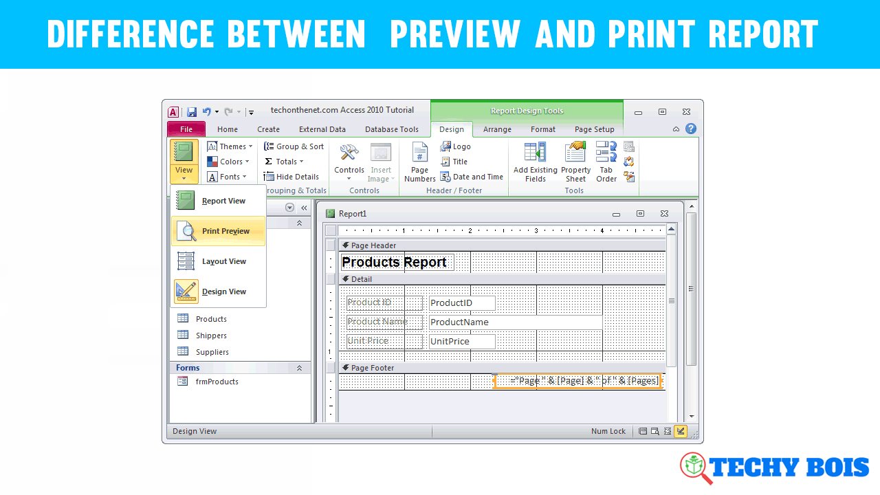 Difference between  preview and print report