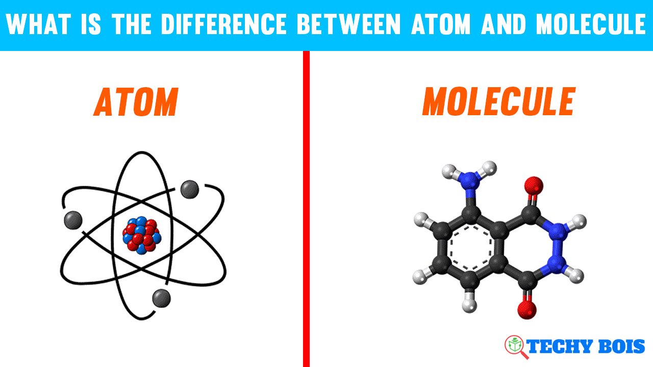 What is The Difference Between Atom and Molecule