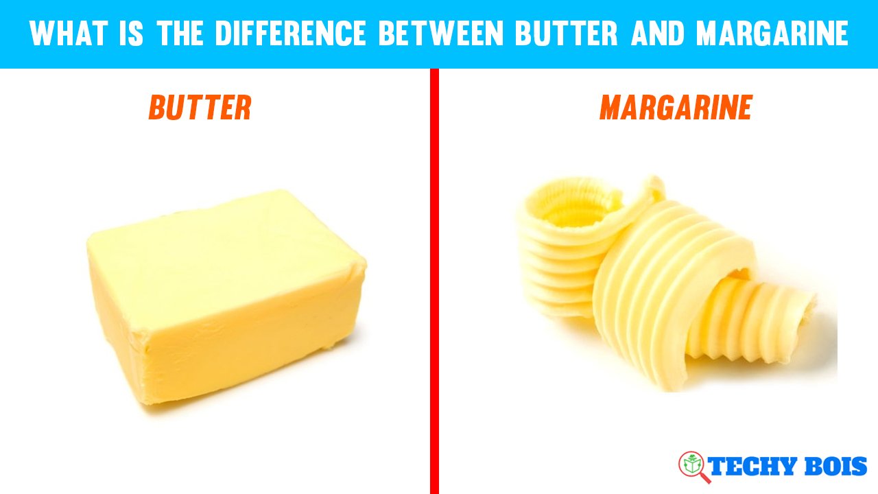 What is The Difference Between Butter and Margarine