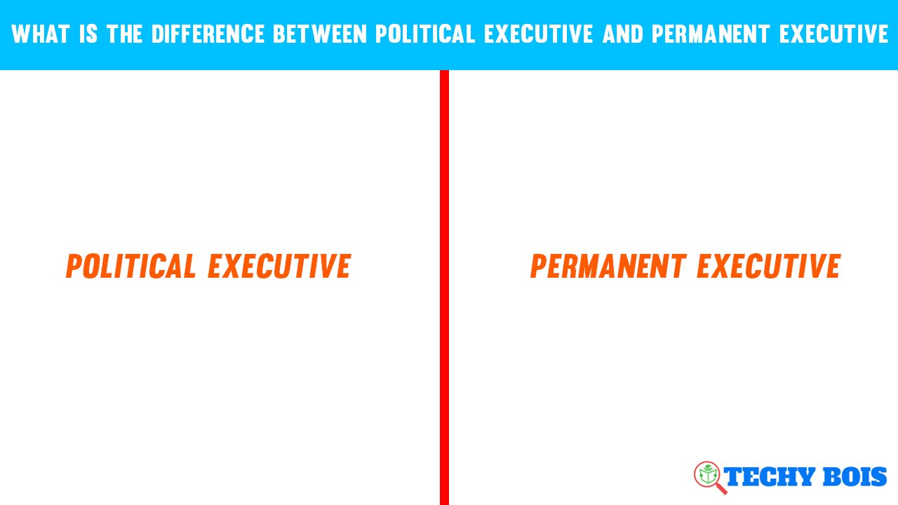 What is The Difference Between Political Executive and Permanent Executive