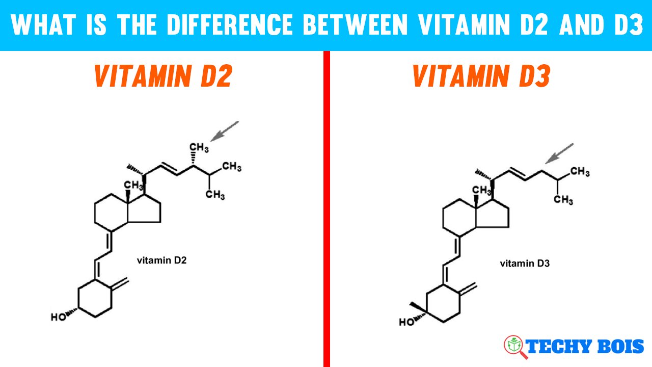 What is The Difference Between Vitamin D2 and D3