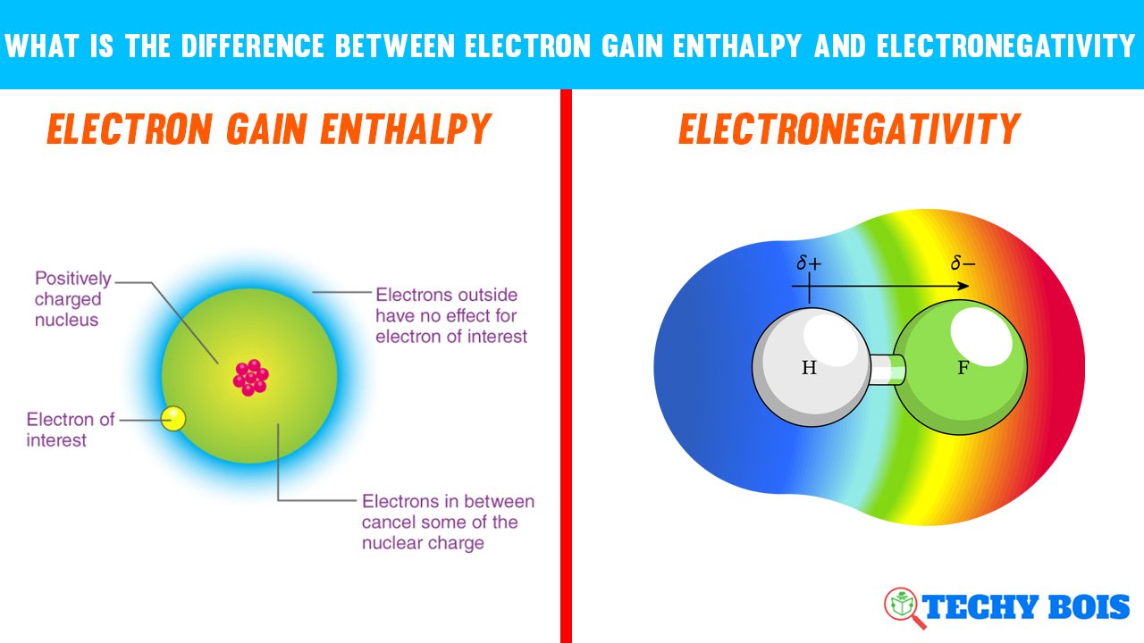 What is The Difference between Electron Gain Enthalpy and Electronegativity