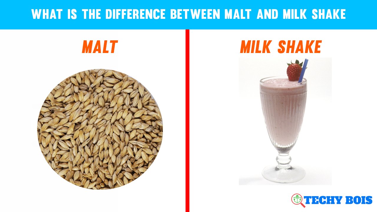 What is the difference between malt and milk shake