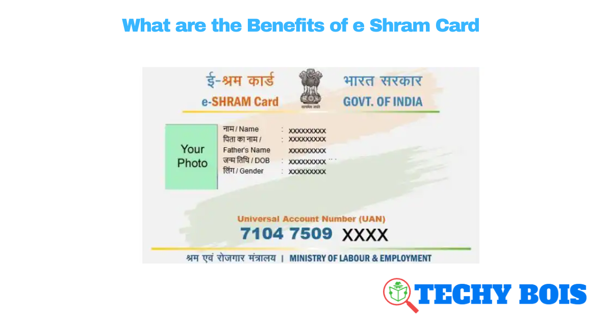 What are the Benefits of e Shram Card