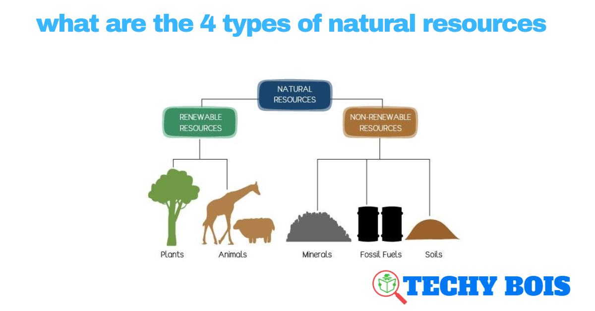 what are the 4 types of natural resources