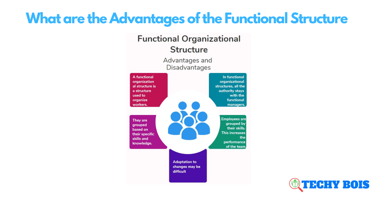 What are the Advantages of the Functional Structure