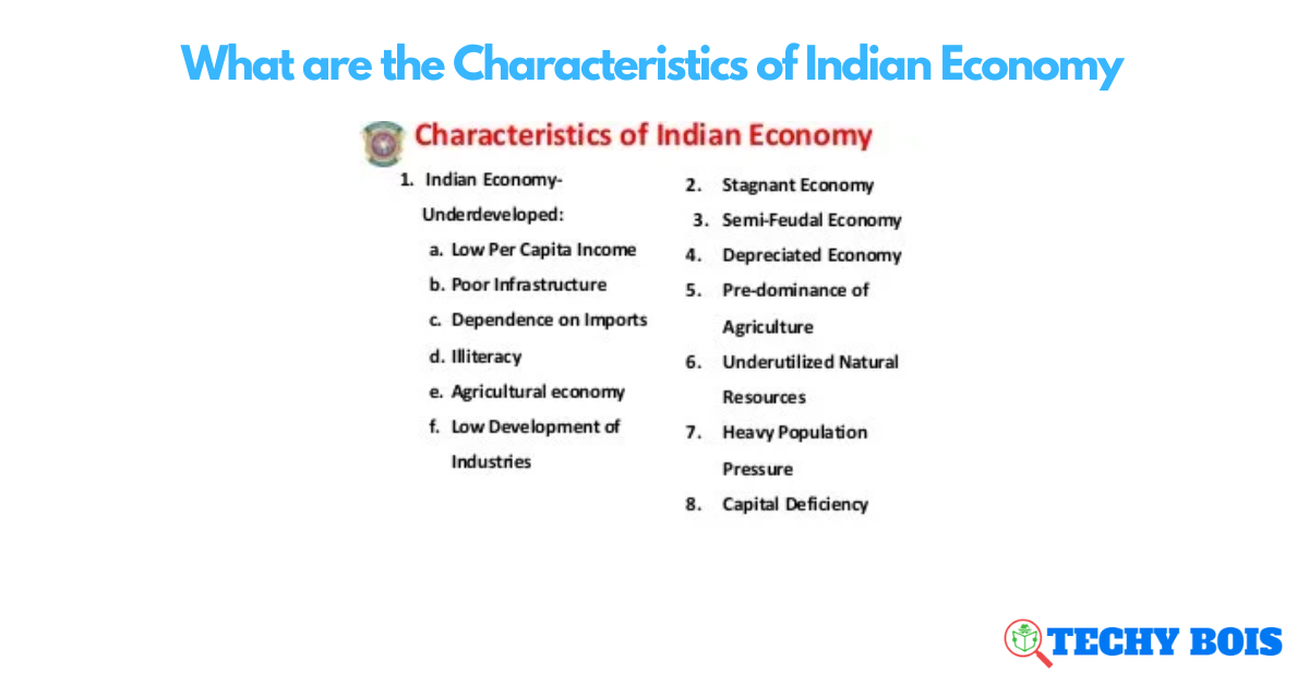 What are the Characteristics of Indian Economy