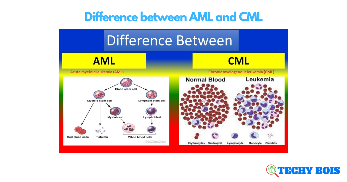 Difference between AML and CML