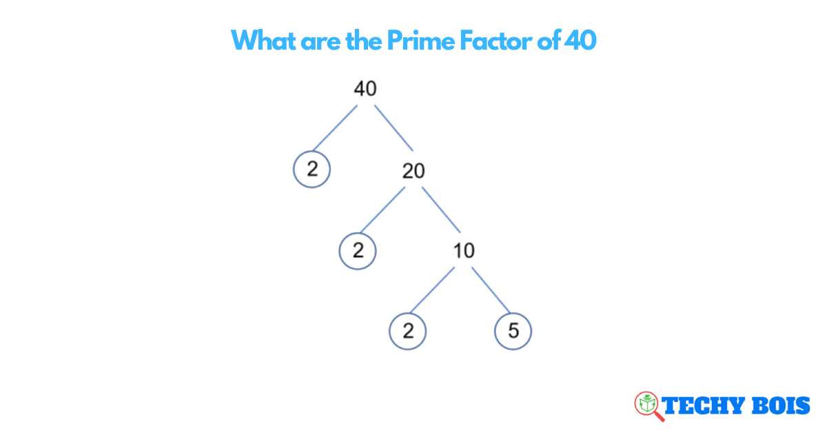 What are the Prime Factor of 40