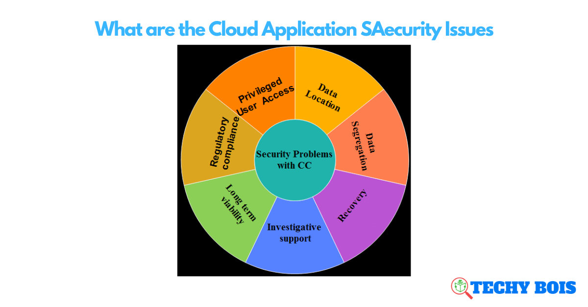 What are the Cloud Application SAecurity Issues