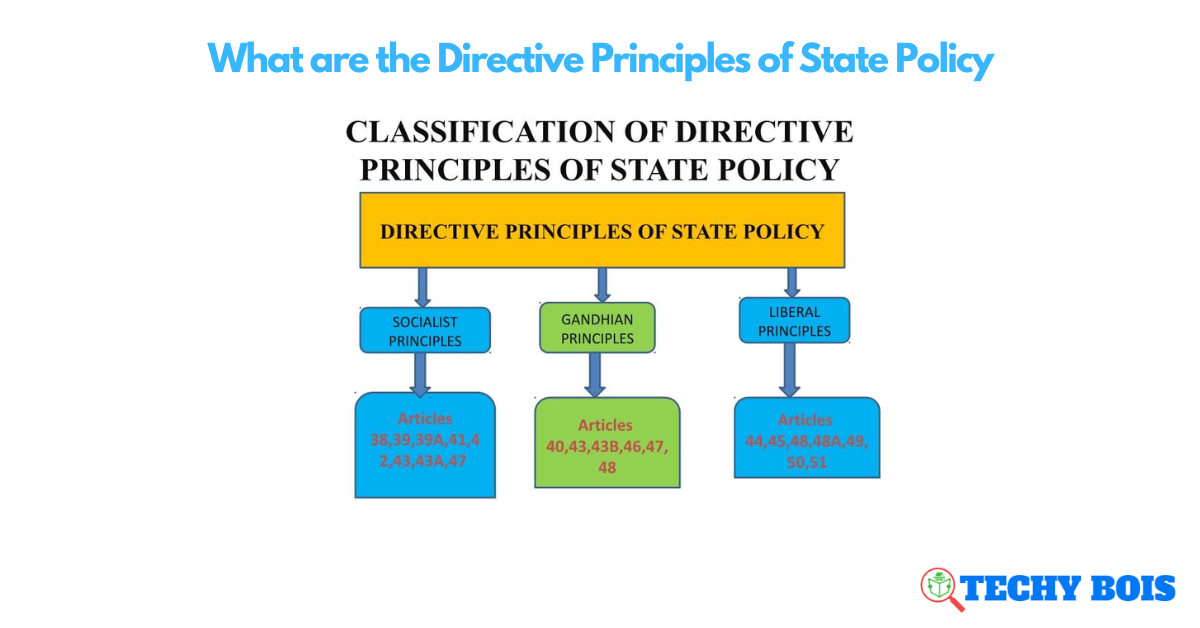 What are the Directive Principles of State Policy