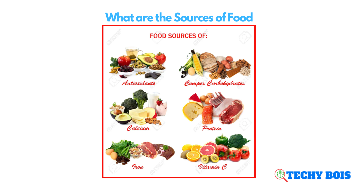What are the Sources of Food