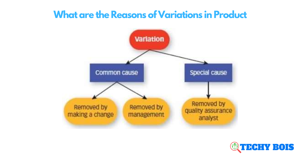 What are the Reasons of Variations in Product