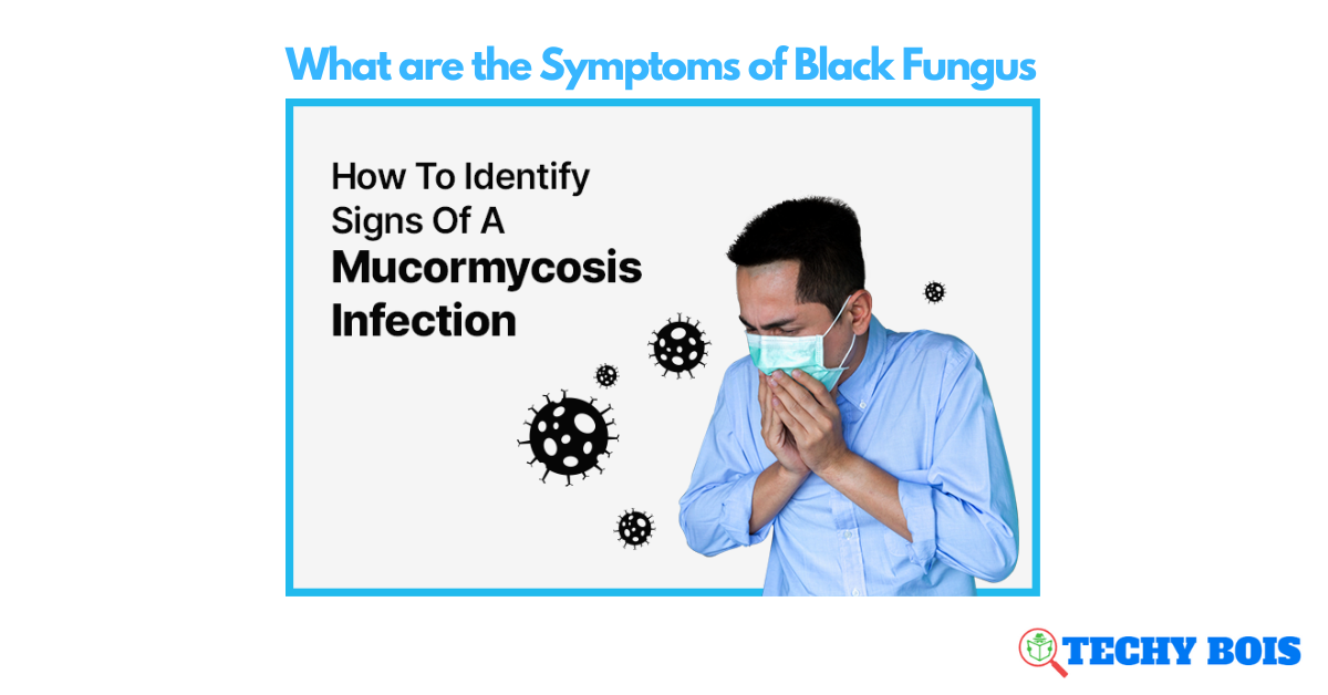 What are the Symptoms of Black Fungus