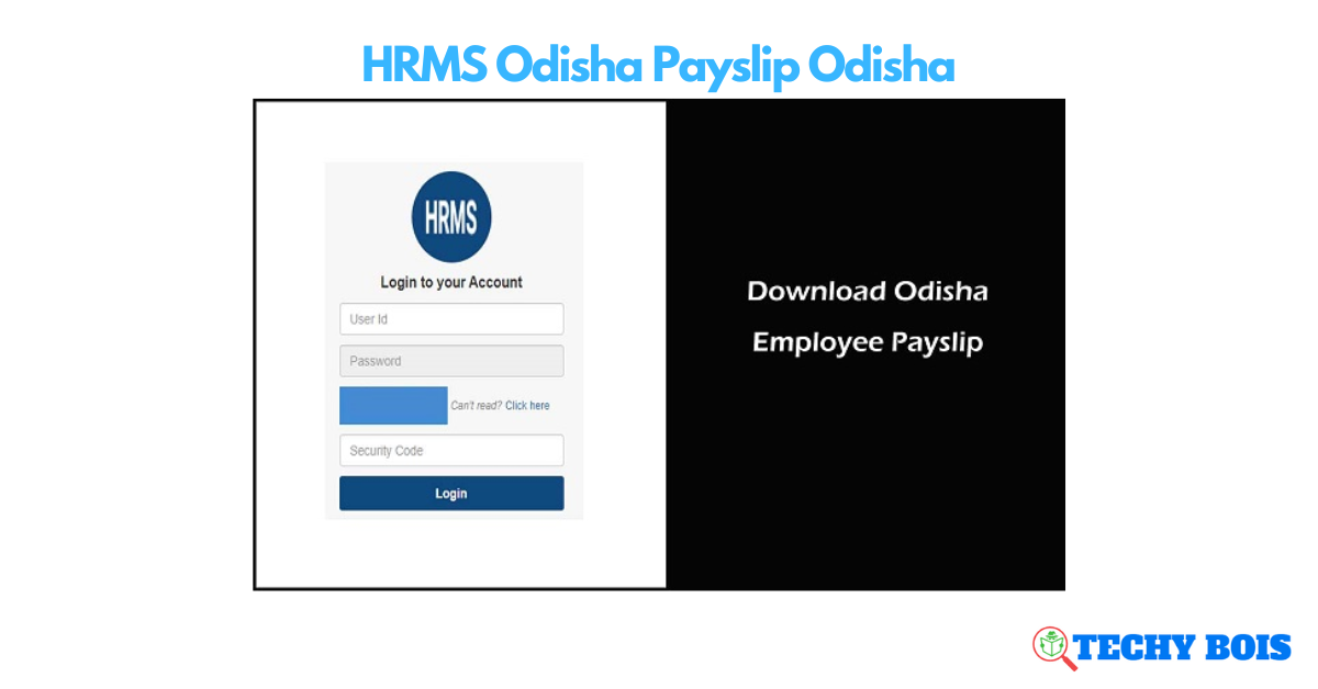HRMS Odisha Payslip Odisha