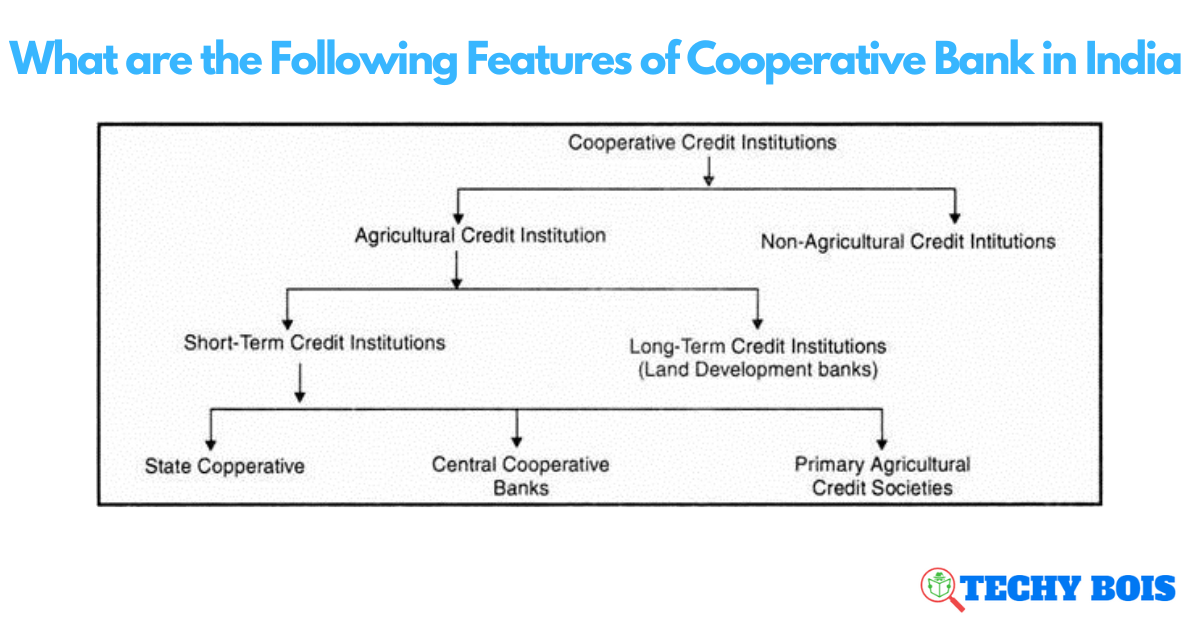 What are the Following Features of Cooperative Bank in India